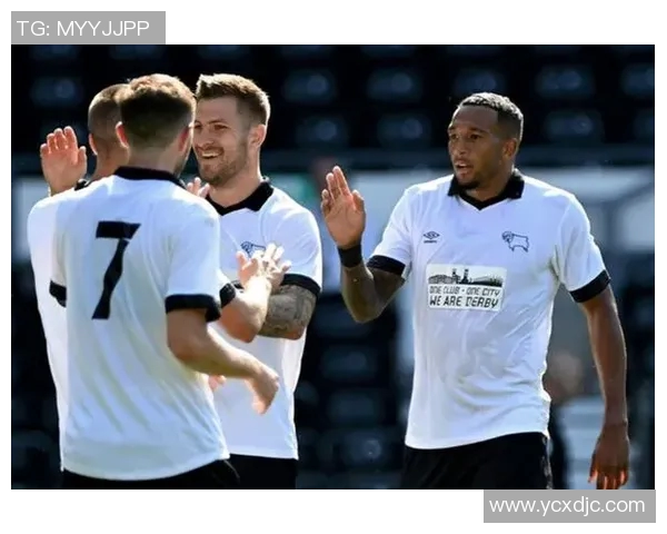 南京羽毛球队在英超杯赛中的力量表现全解析与深度点评 南京羽毛球队在英超杯赛中的力量表现全解析与深度点评