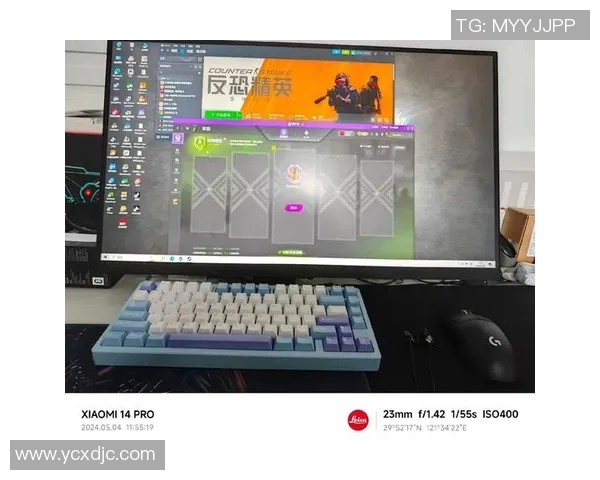 杨芳谈CSGO职业生涯与电竞未来展望的深度专访实时数据