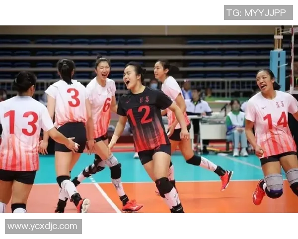 运动数据排球装备选购指南如何选择适合的球袜提升运动表现